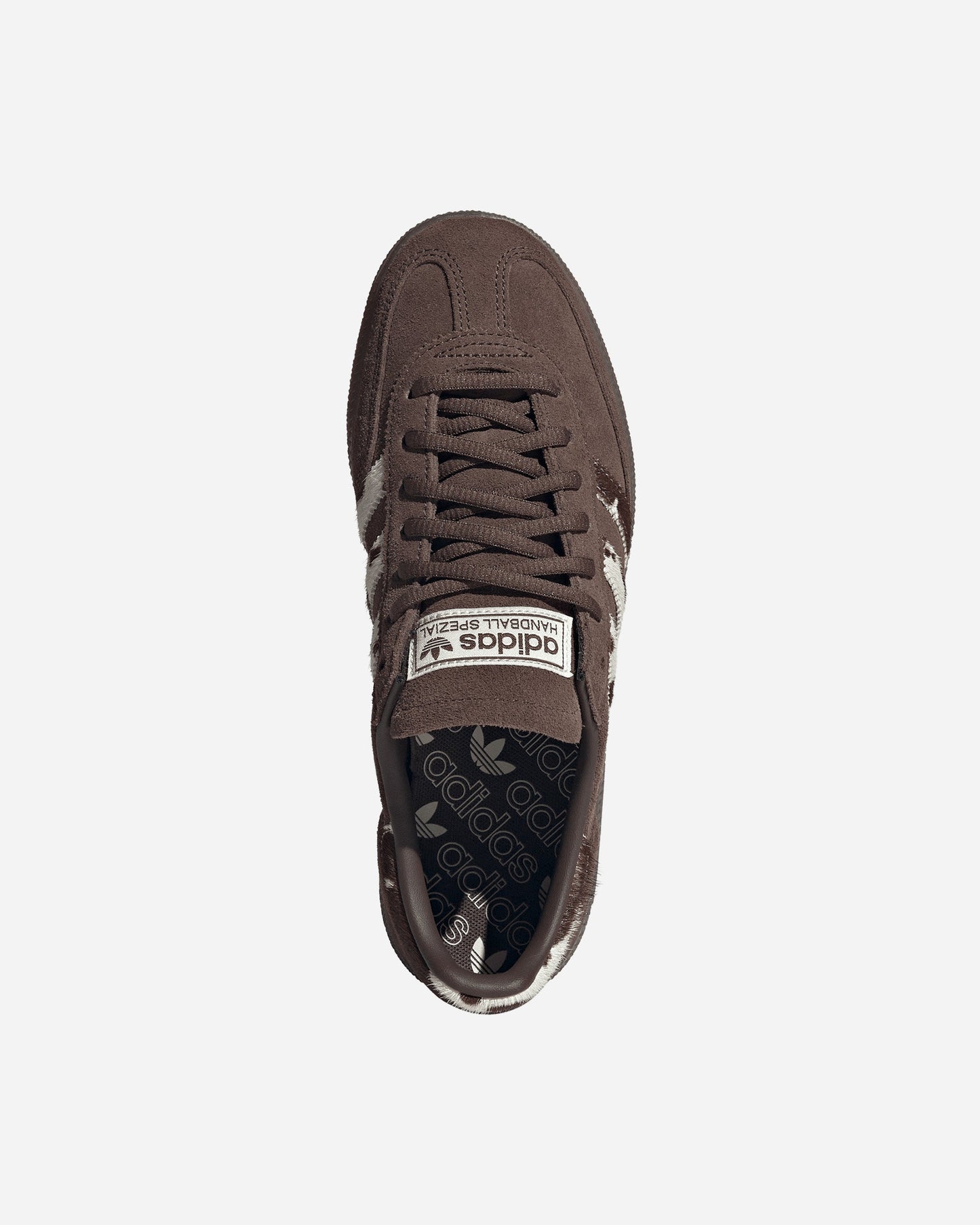 Handball Spezial